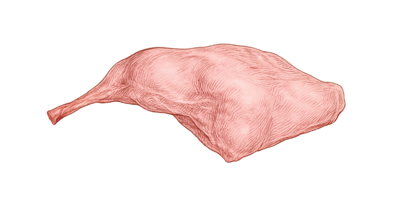 Rabbit Dog Food