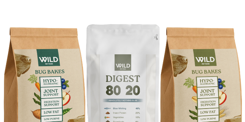 Insect Dog Food