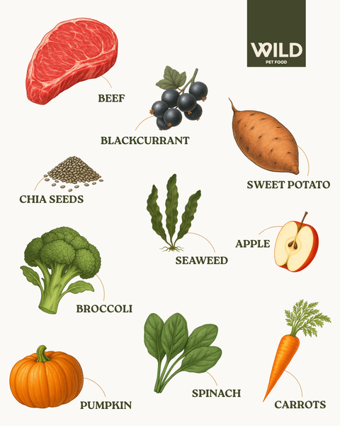 Beef - 80:20 Cold-Pressed