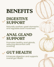 Pumpkin Powder (180g)