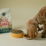 100% Insect Reward Multipack (8 x 70g Treats)