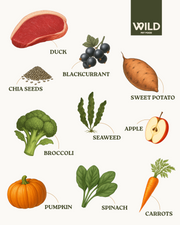 Duck - 80:20 Cold-Pressed