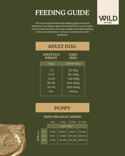 Duck - 80:20 Cold-Pressed