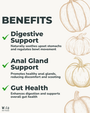 Pumpkin Powder (180g)