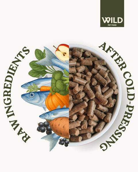 Fish - 80:20 Cold-Pressed