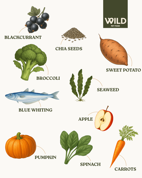 Fish - 80:20 Cold-Pressed