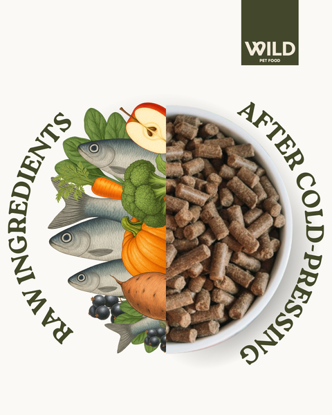 Herring - 80:20 Omega+ Cold-Pressed