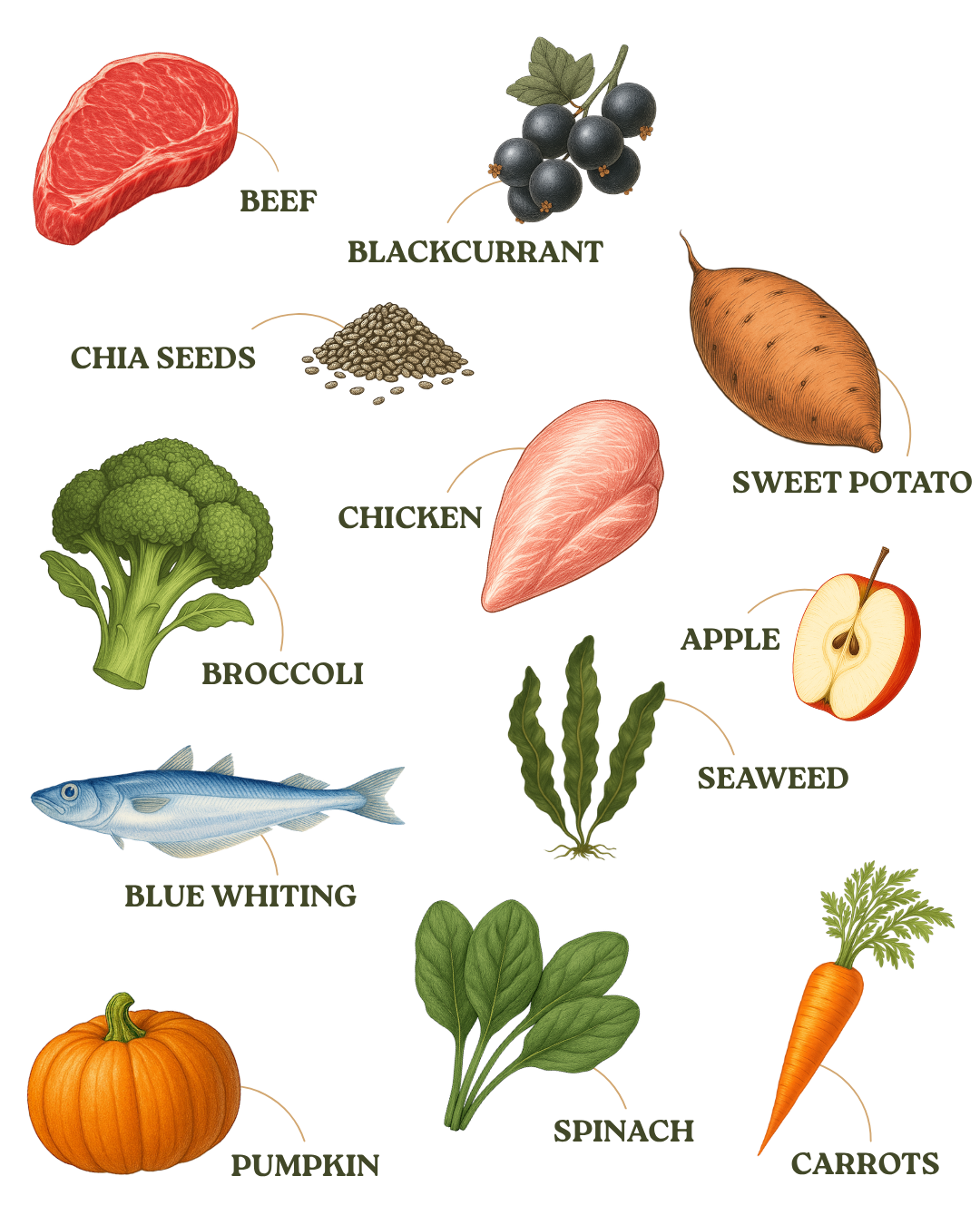 Surf and Turf 80:20 Cold-Pressed