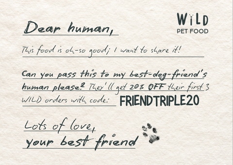 Letter for a Friend/Handwritten Note