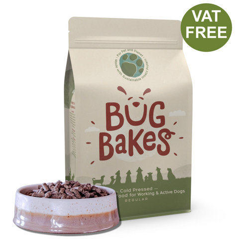 Regular - Hypoallergenic Dry Dog Food Insect Protein Cold-Pressed