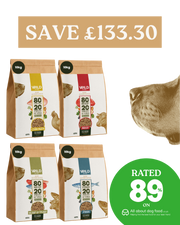 XL 80:20 Variety Bundle