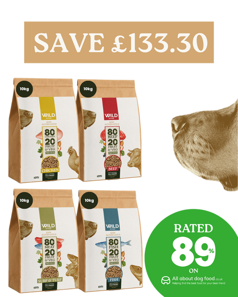 XL 80:20 Variety Bundle