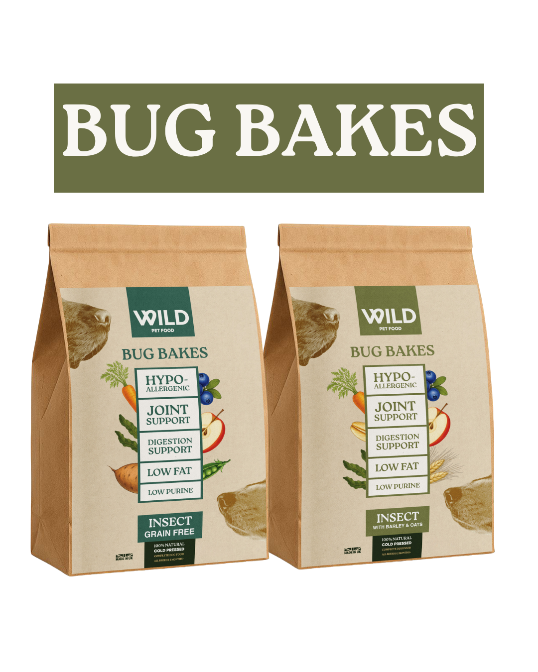 Bug Bakes Insect Cold-Pressed